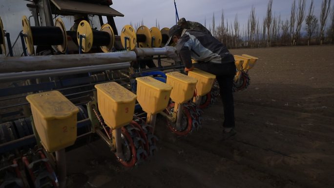 新疆棉花机械化播种覆膜