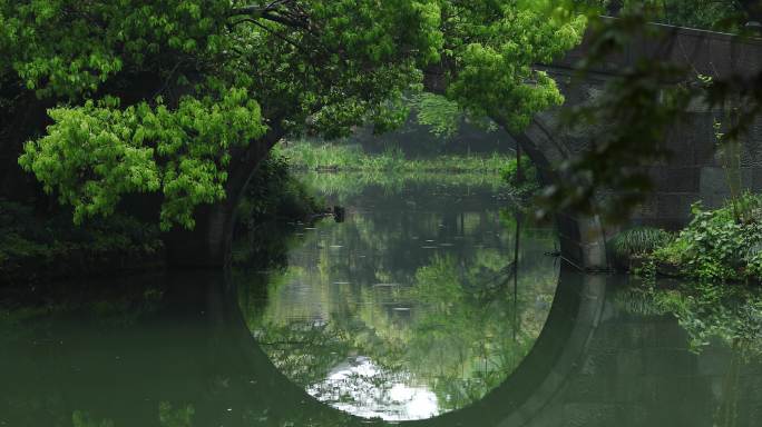 春天西湖园林桥洞手划船唯美雨景