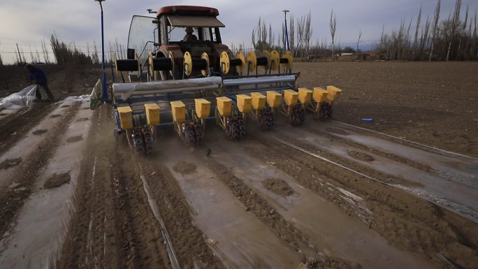 实拍新疆棉花地机械化耕地