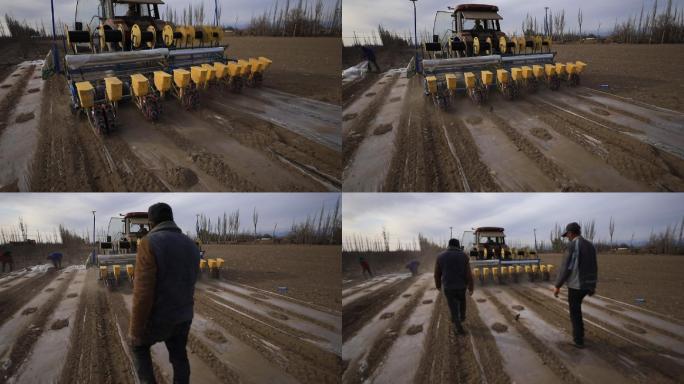 实拍新疆棉花地机械化耕地