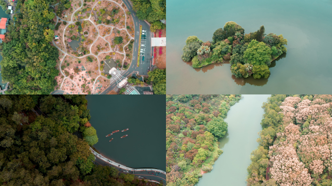 仙湖植物园深圳水库