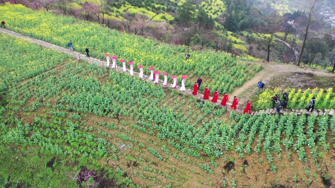 石潭油菜花