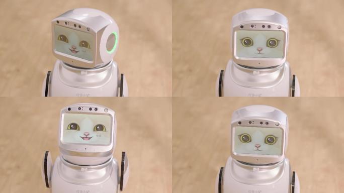 家庭机器人互动