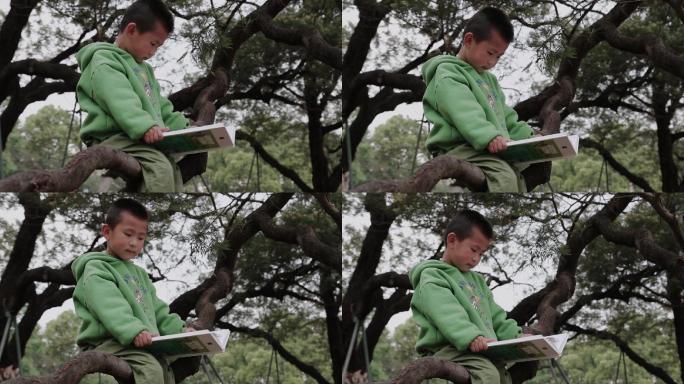 【原创实拍】坐在树梢看书的小男孩