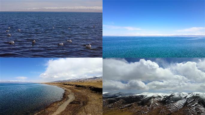 4k青海湖航拍延时雪山红嘴鸥