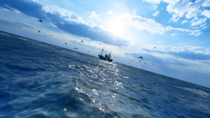 4K大海海面巨轮海鸥飞翔合集