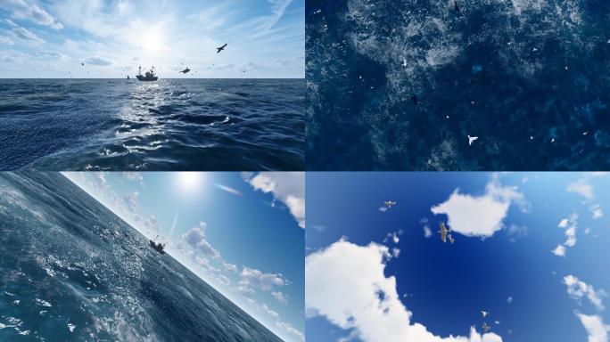 4K大海海面巨轮海鸥飞翔合集