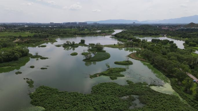 昌平滨河森林公园