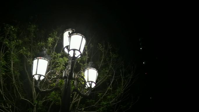 夜深人静小区路灯灯光