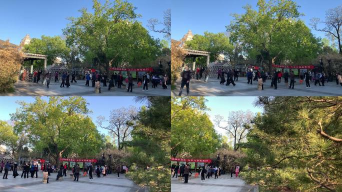 【4k实拍】紫竹院公园老人活动跳舞