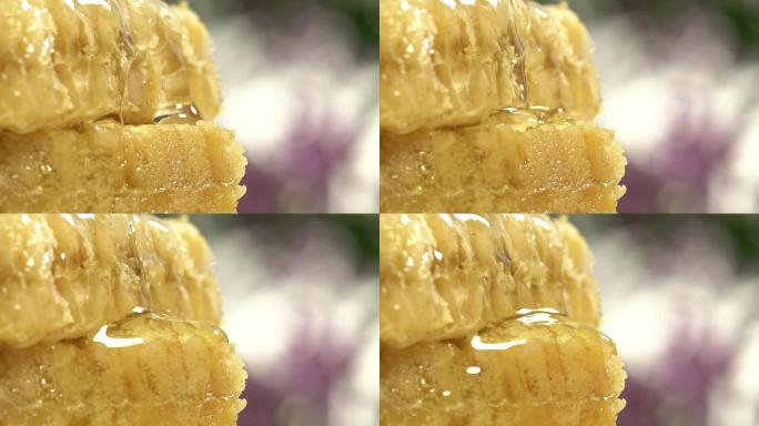 诱人蜂蜜滴下流淌美食特写镜头