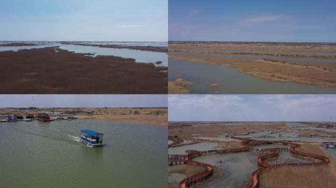 黄河入海口湿地