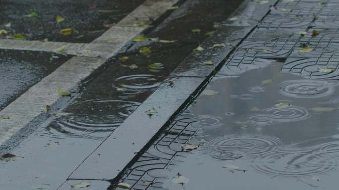 6K雨中路面积水雨滴波纹01