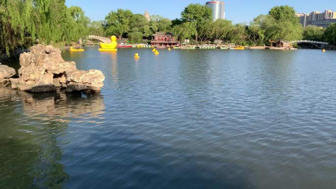 【4k实拍】北京紫竹院公园景色湖水