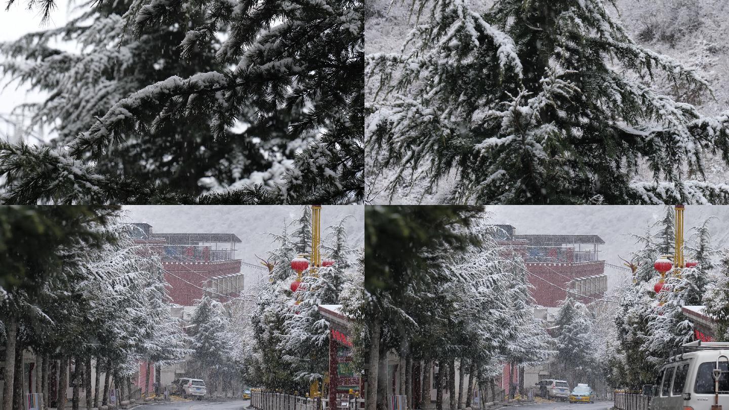 唯美下雪天松树