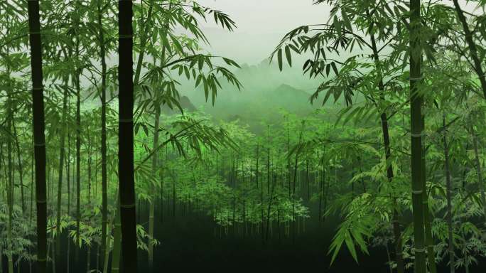 竹子、竹林、循环背景