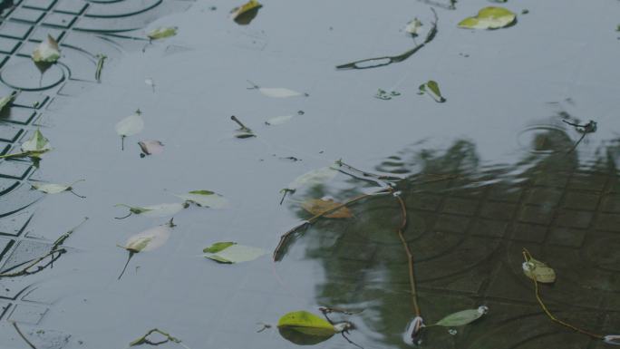 6K雨中路面积水雨滴波纹02