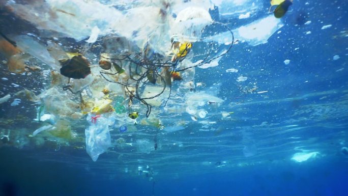 海洋塑料污染水下问题环境破坏