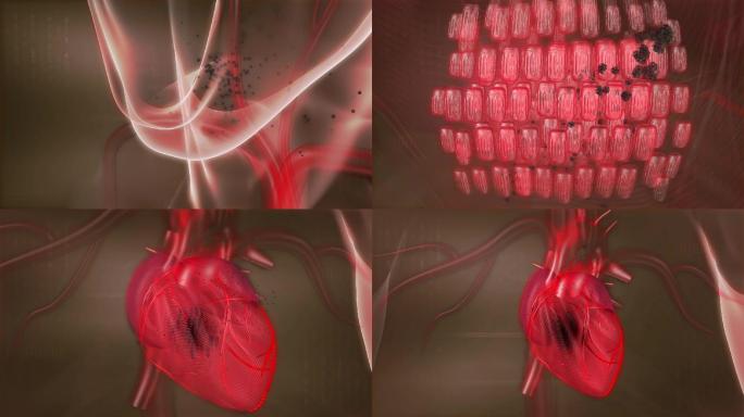 农药残留危害影响心脏心动过速心肌缺氧缺血