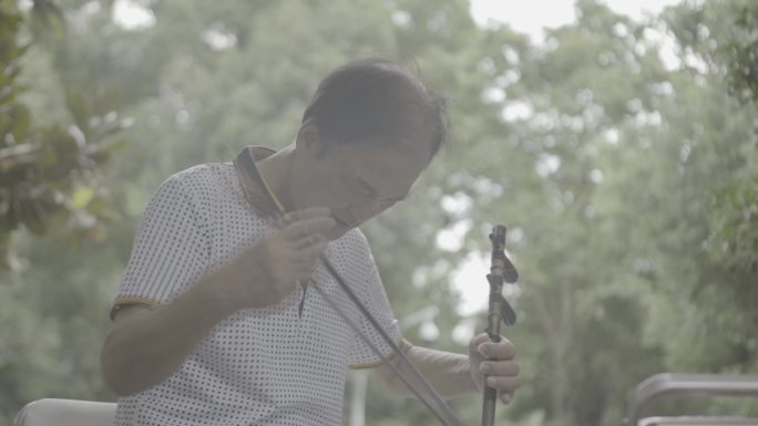 4K杭州公园行人老人跳舞弹琴