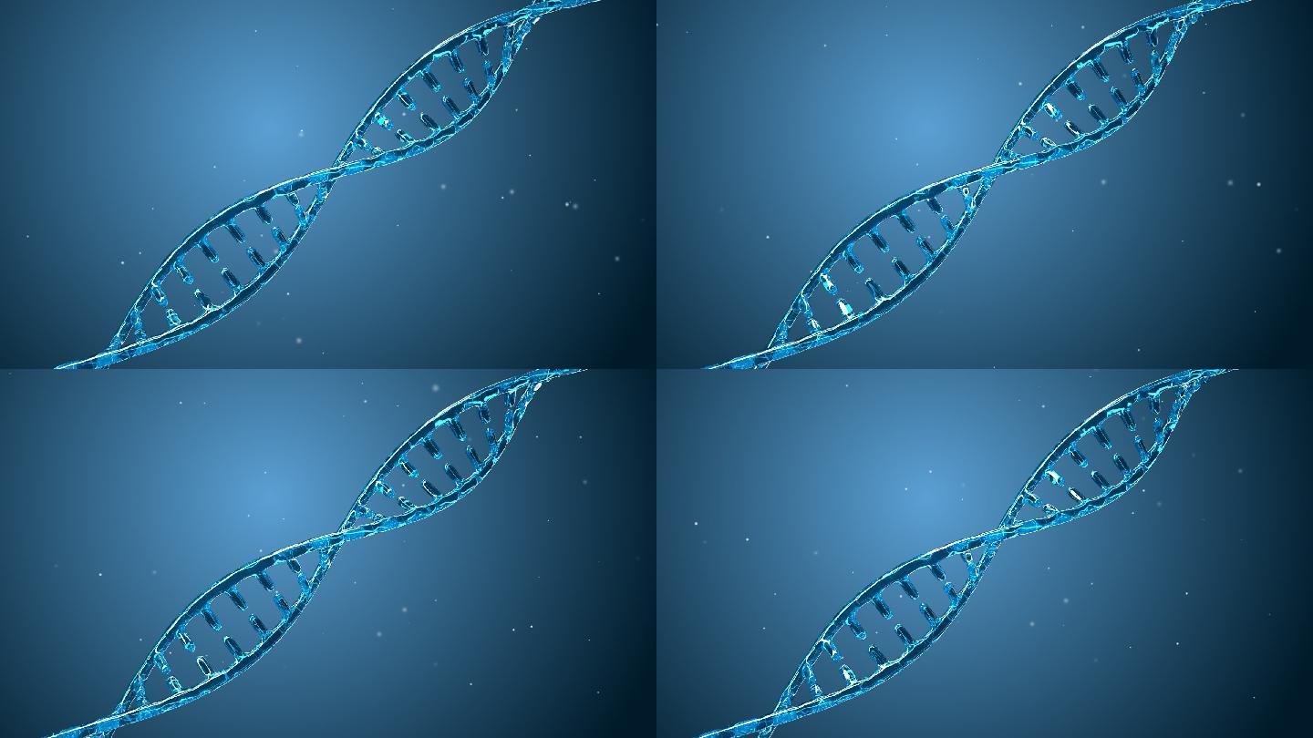 DNA分子结构_带通道