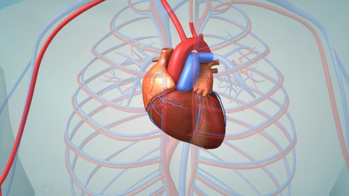 心肌梗塞血栓形成