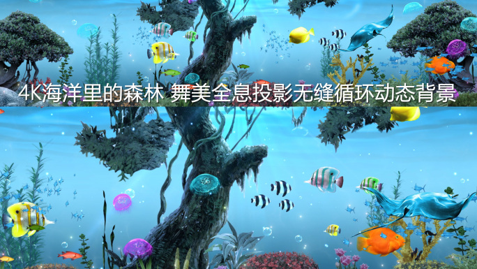 海洋森林4K可循环背景视频