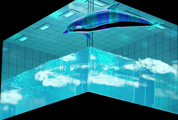 裸眼3d海豚出屏