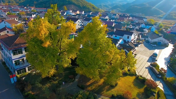 杭州桐庐古村落航拍