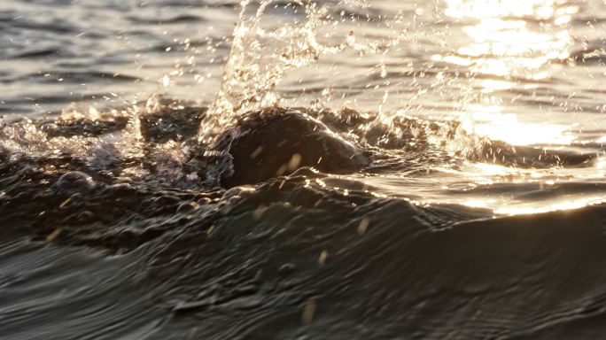 男子游泳运动员在阳光下在海上游泳
