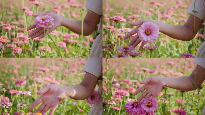 女子女孩鲜花原野自然春天手