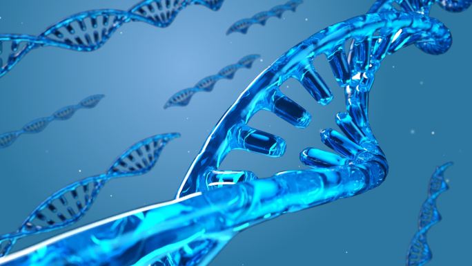 蓝色科技DNA_带通道