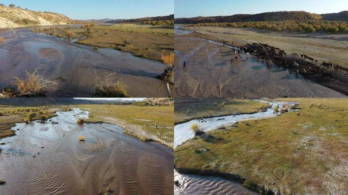 秋季牧场航拍素材4