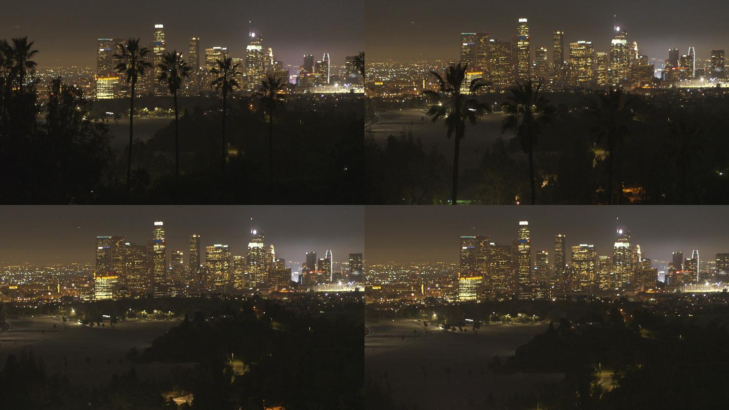 洛杉矶市中心棕榈树之夜