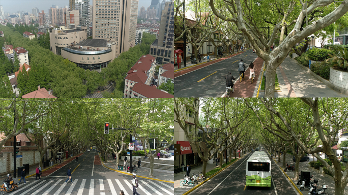 上海长宁新华路番禺路美丽绿化网红街道景点