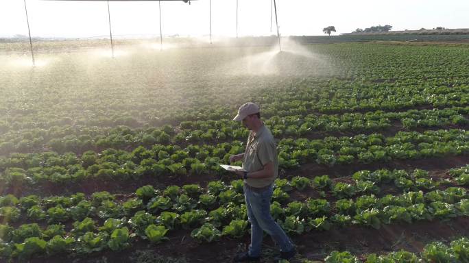 农民利用平板进行灌溉