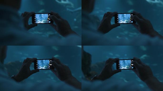 水族馆手机拍摄拍照水下科技海
