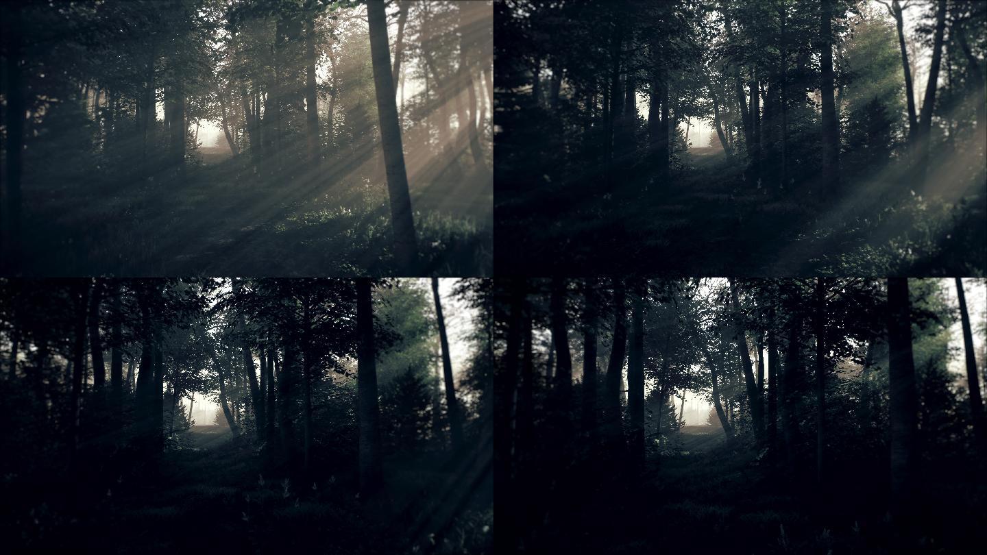 阴森诡异的森林