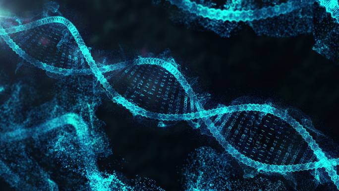 DNA结构生物学蛋白质螺旋