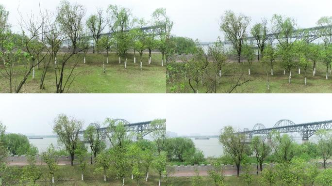 九江长江大桥（4K50帧）