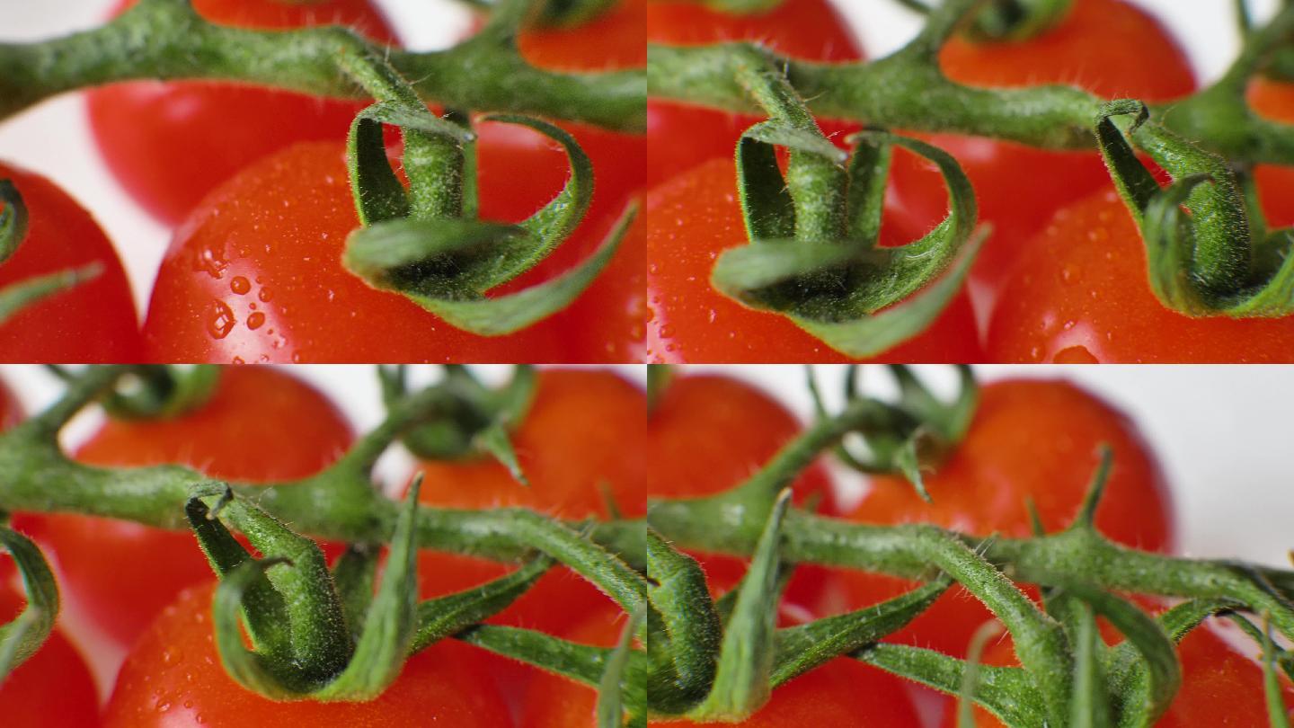4K西红柿番茄水果夏天防晒
