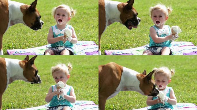 狗吃了小女孩冰淇淋