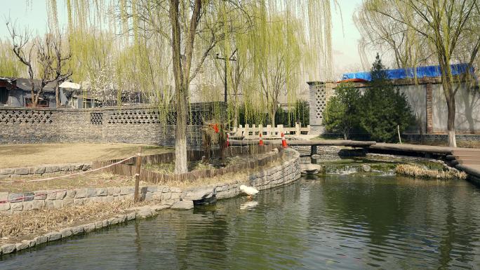 原创拍摄历史感老北京三里河公园