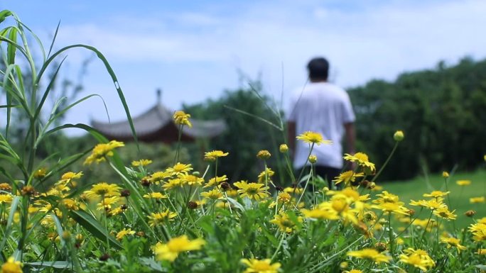 花草前的男子背影