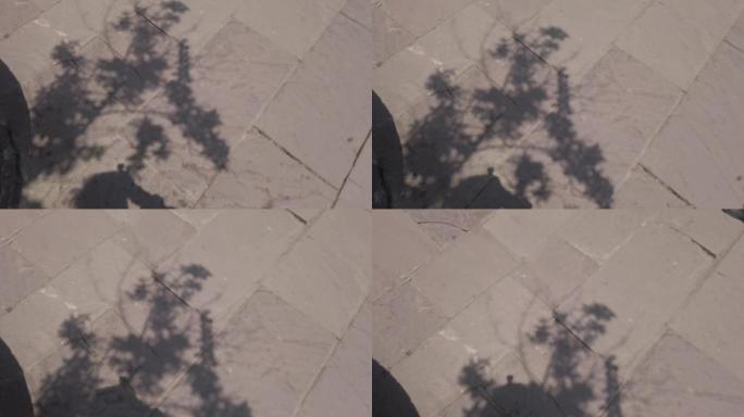 石板路上的太阳光影