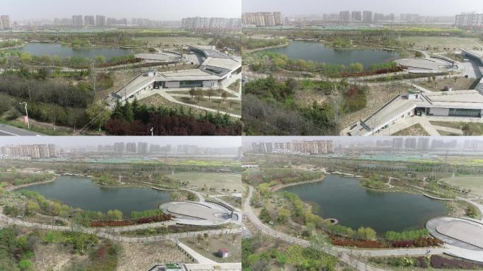 泗阳县黄河故道湿地公园（4K50帧）