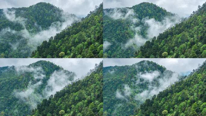 唯美自然生态景观山谷云雾蒸腾延时素材