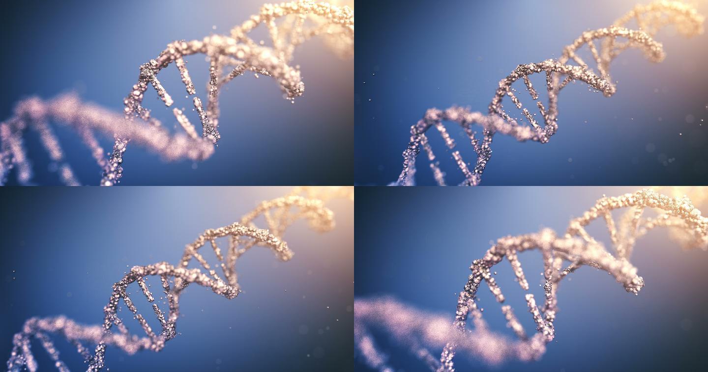 DNA放大和缩小生物学基因