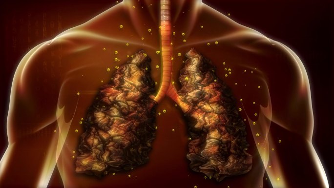 肺液缺失使肺叶枯萎、支气管燥热、肺泡干缩