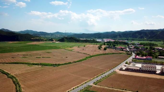 春季华北地区农业种植基地